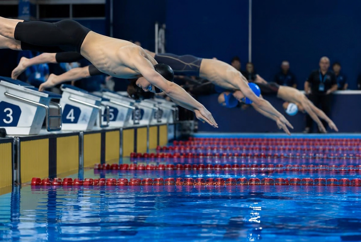 Swimmers diving off the starting blocks